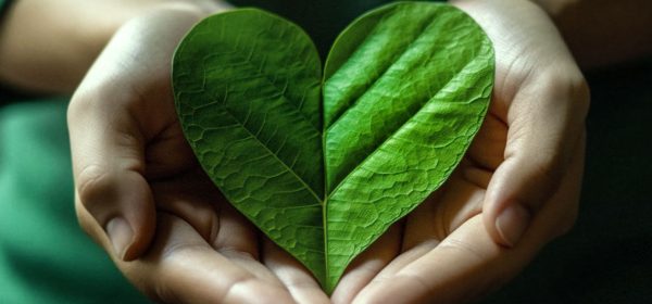 Header-Curso-Magia-das-Ervas